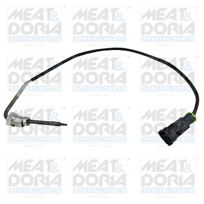 Sensor, exhaust gas temperature